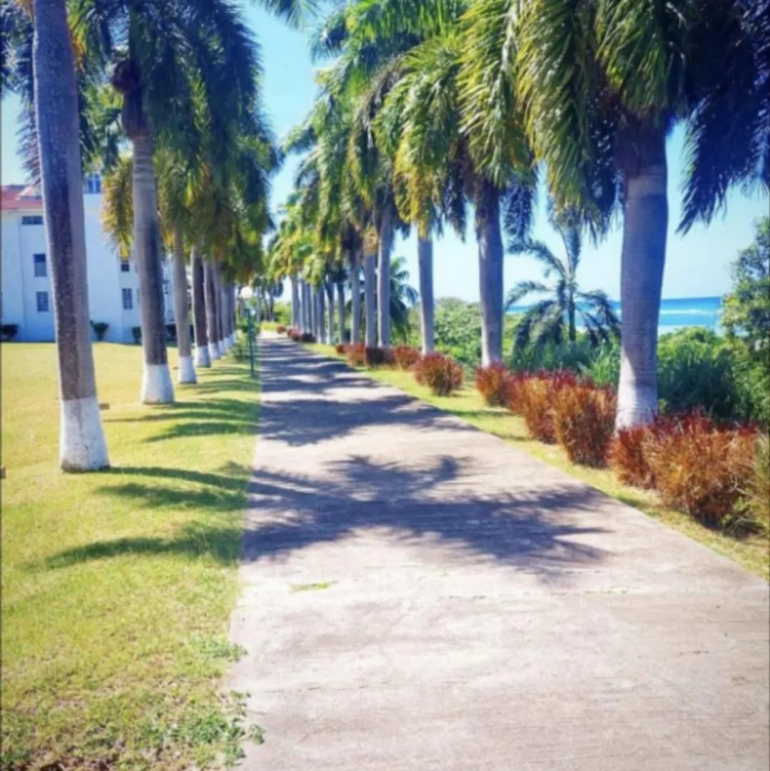 Paradise By The Sea Montego Bay Apartment